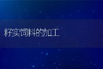 果园生态养殖兔管理要点