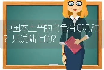 中国本土产的乌龟有哪几种?只说陆上的？