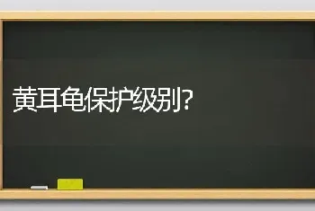 黄耳龟保护级别？