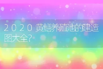 2020黄鳝养殖池的建造图大全？