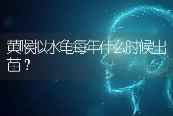 黄喉拟水龟每年什么时候出苗？