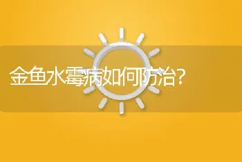 柬埔寨珍珠鱼可以变色吗？