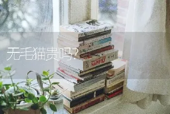 无毛猫贵吗？