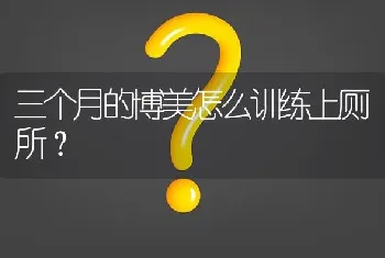 三个月的博美怎么训练上厕所？