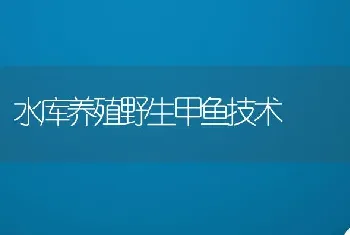 水库养殖野生甲鱼技术