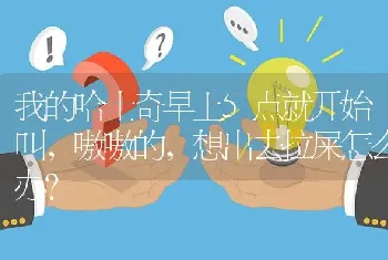 我的哈士奇早上5点就开始叫，嗷嗷的，想出去拉屎怎么办？