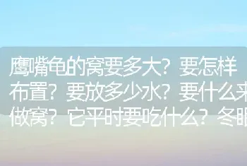 鹰嘴龟的窝要多大？要怎样布置？要放多少水？要什么来做窝？它平时要吃什么？冬眠时要怎么做？请详细点？