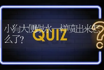 小狗大便跟水一样喷出来怎么了？