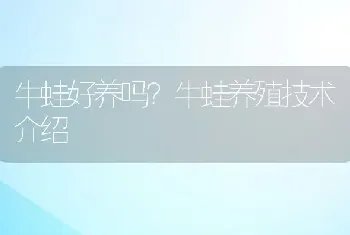 牛蛙好养吗？牛蛙养殖技术介绍