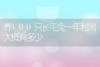 养100只长毛兔一年利润大概有多少