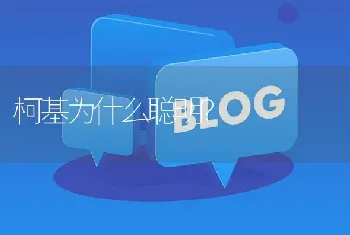 柯基为什么聪明？