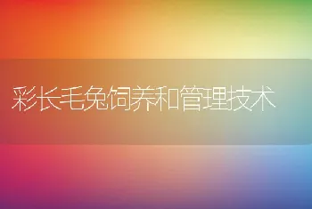 彩长毛兔饲养和管理技术