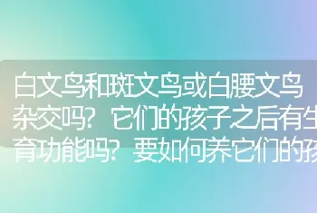 白文鸟和斑文鸟或白腰文鸟杂交吗?它们的孩子之后有生育功能吗?要如何养它们的孩子？