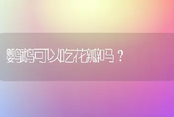 鹦鹉可以吃花瓣吗？