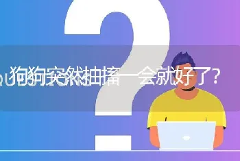 狗狗突然抽搐一会就好了？