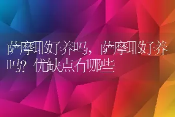 萨摩耶好养吗，萨摩耶好养吗？优缺点有哪些