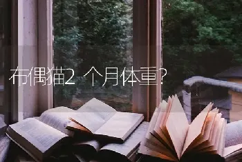 世界上小的边牧？