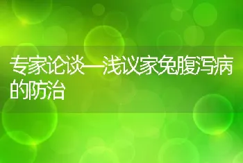 专家论谈—浅议家兔腹泻病的防治