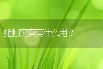 蚯蚓究竟有什么用？