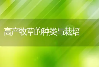 江苏丹阳市举办太湖1号青虾养殖技术培训班