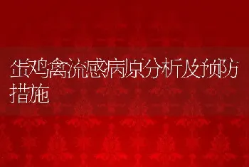 蛋鸡禽流感病原分析及预防措施