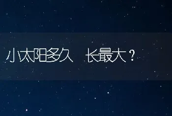 小太阳多久 长最大？