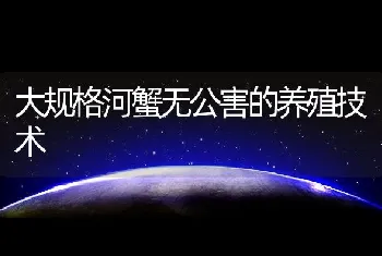 大规格河蟹无公害的养殖技术