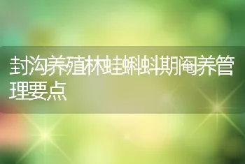 封沟养殖林蛙蝌蚪期阉养管理要点