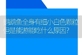 鹦鹉鱼全身有细小白色颗粒但是能游能吃什么原因？