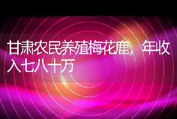 甘肃农民养殖梅花鹿，年收入七八十万