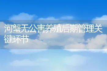 河蟹无公害养殖后期管理关键环节