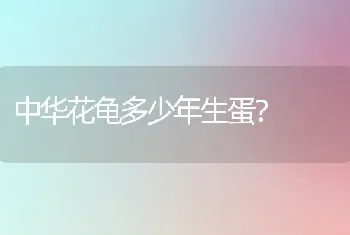 中华花龟多少年生蛋？