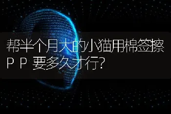 帮半个月大的小猫用棉签擦PP要多久才行？