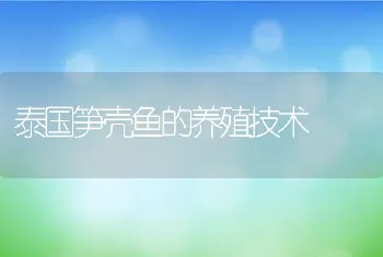 五例肉杂鸡痛风病的警示养肉杂鸡切勿贪恋高蛋白