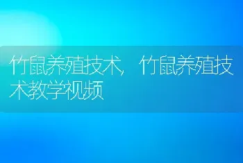 竹鼠养殖技术，竹鼠养殖技术教学视频