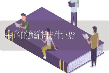 金鱼的鳍能再生吗？