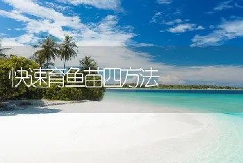 快速育鱼苗四方法