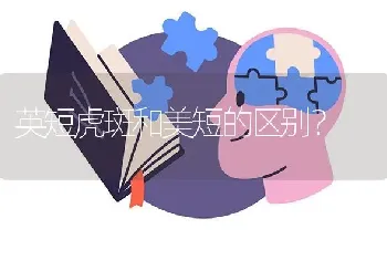 二哈和德牧怎么养？