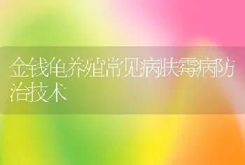 金钱龟养殖常见病肤霉病防治技术