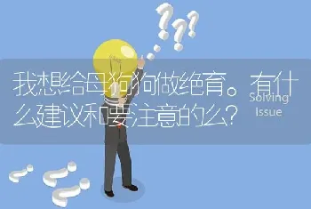 我想给母狗狗做绝育。有什么建议和要注意的么？