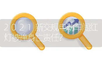 2021新交规电动车闯红灯被撞身亡责任？