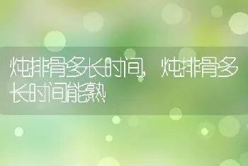 炖排骨多长时间，炖排骨多长时间能熟