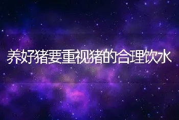 泥鳅养殖之冬季池塘养殖技术