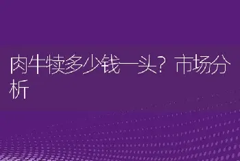 肉牛犊多少钱一头？市场分析