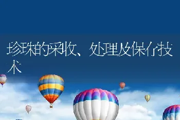 珍珠的采收、处理及保存技术