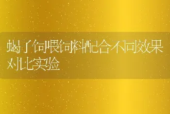 蝎子饲喂饲料配合不同效果对比实验