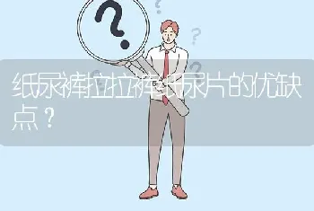 纸尿裤拉拉裤纸尿片的优缺点？