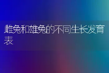 雌兔和雄兔的不同生长发育表