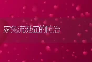 鹌鹑高效的养殖关键管理技术