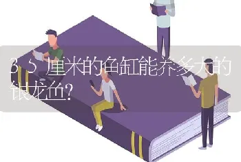 35厘米的鱼缸能养多大的银龙鱼？